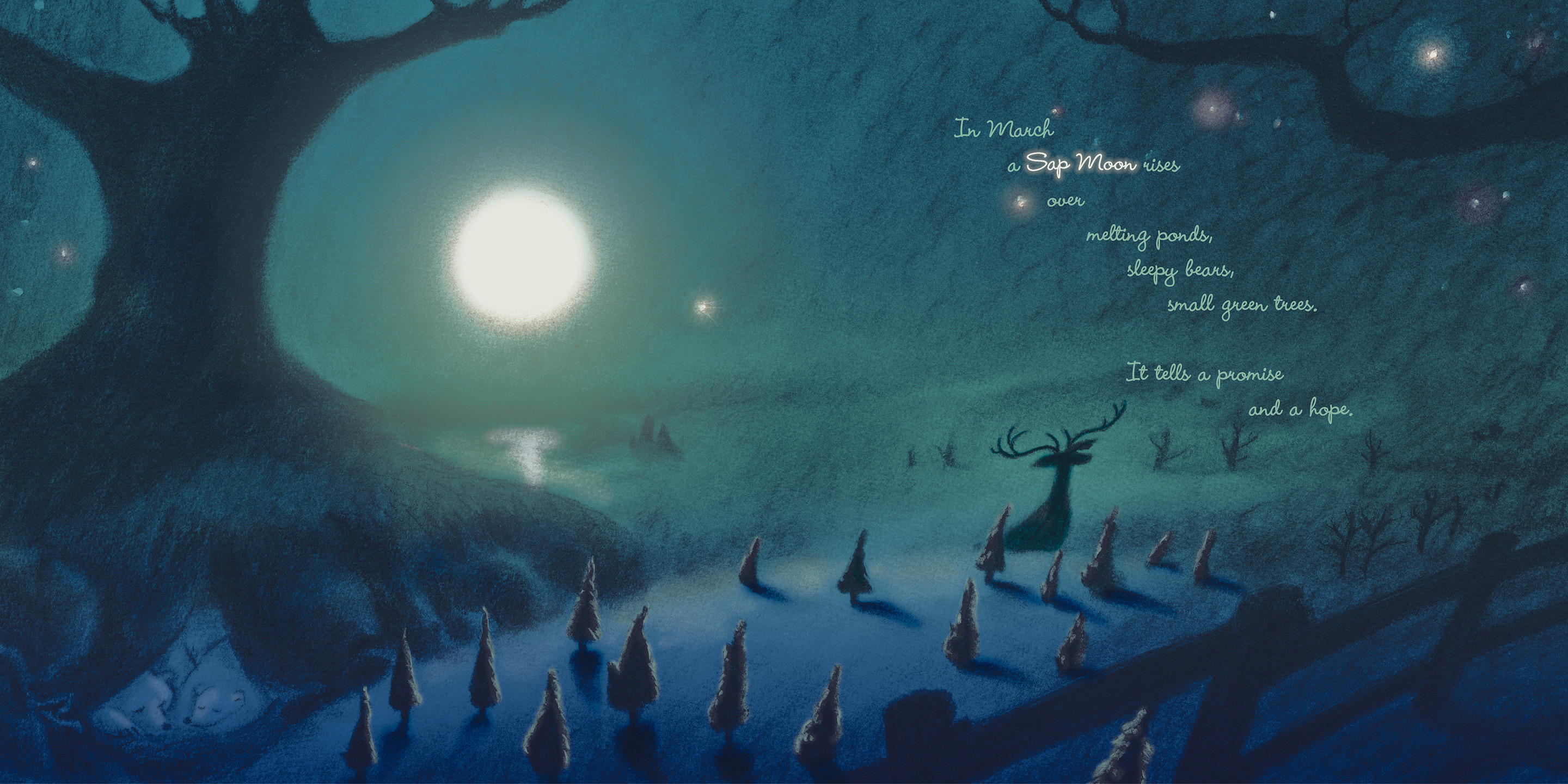 Long Night Moon - Mark Siegel: Stories with Vitamins